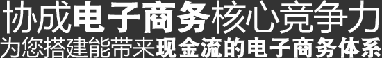 協(xié)城電子商務(wù)核心競爭力,為您搭建能帶來現(xiàn)金流的電子商務(wù)體系